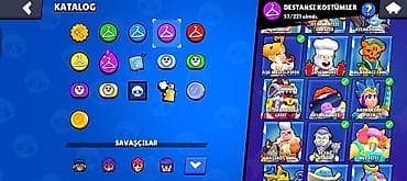 Ovçuluq və balıqçılıq: Brawl Stars hesabı – yüksək səviyyəli, zəngin kolleksiya Ümumi — 6