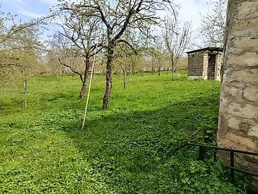 agdas torpaq: 15 sot, Kənd təsərrüfatı, Mülkiyyətçi, Kupça (Çıxarış) — 3