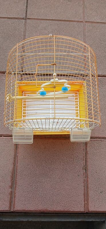 cücə qəfəsi: Quş qəfəsi – yarımdairəvi üst hissəli, metal barmaqlıqlı model — 3