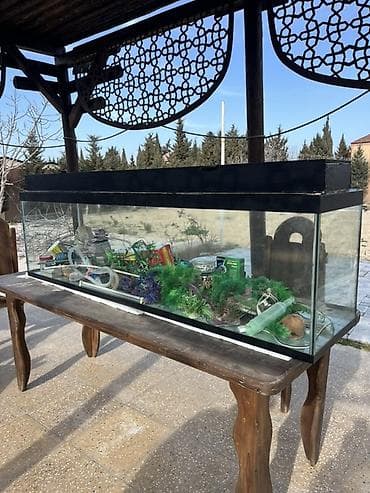 akvariu: Böyük ölçülü şüşə akvarium komplekti 180x50x40.Su tutumu 360 litr Tam — 5