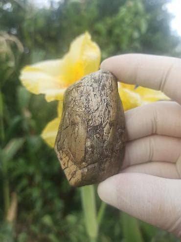 Təbii Naxışlı Təbii Mineral Pikasso Daşı 💎😍 Bu heyrətamiz və təbii
