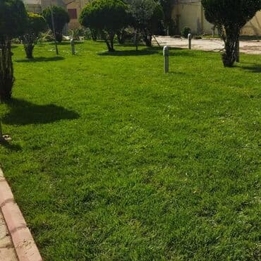 qazon picen: Qazon və Bağ Xidmətləri İşlərimizlə Tanışlıq üçün Instagram və — 5