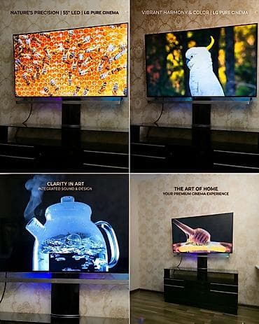 Televizor LG LED ekran 55" FHD (1920x1080)