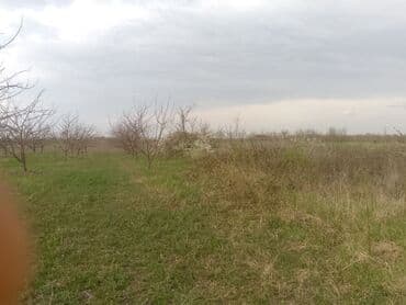 xacmaz rayonu qusarcay kendi: Kənd təsərrüfatı — 12