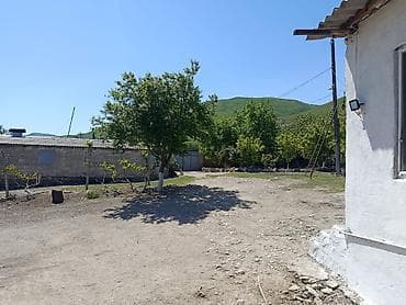 torpaq satilir: Kənd təsərrüfatı, Kupça (Çıxarış) — 4