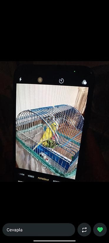 x ayfon: IPhone X — 5