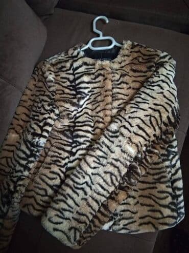 женские шубы с воротником: Шуба, XS, S — 1