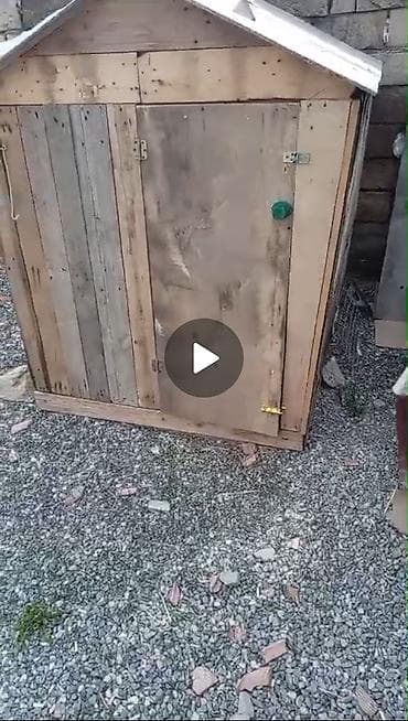 rəngli quşlar: Taxta goyərcin/broyler kümesi - Material: tamamilə taxtadan yığılmış — 4