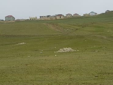 bine atcılıq: 70 sot — 1
