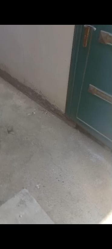 nizami metrosu kiraye evler: 40 kv. m, 1 otaqlı, Kombi, Qaz, İşıq — 7