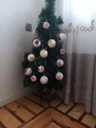 meyve agaci: Yeni il ağacları — 1