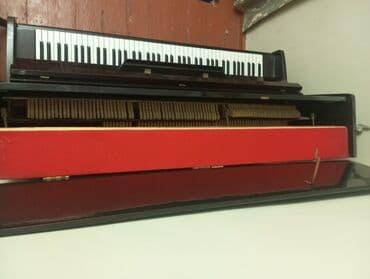 кокурок чонойтуучу крем: Пианино, Акустический — 3