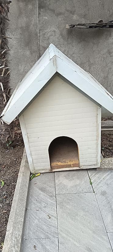 İt evi – açıq havada istifadə üçün - Material: möhkəm taxta karkas