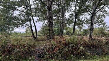 fatmayı torpaq: 10 sot, Kupça (Çıxarış) — 4