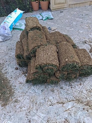 Canlı rulon qazon və landşaft abadlaşdırma xidməti - Rulon qazon lalafo.az -da Canlı rulon qazon və landşaft abadlaşdırma xidməti - Rulon qazon