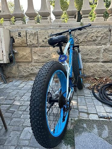 BMW Fat Bike velosiped – Benshi - Çərçivə: polad/alüminium alaşımlı