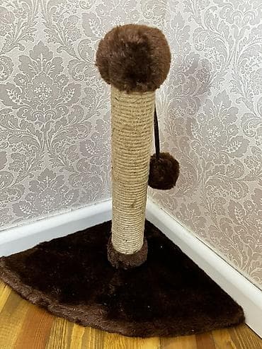 Künc üçün pişik dırmaşma və dırnaq itiləmə dirəyi - Dizayn: Küncə