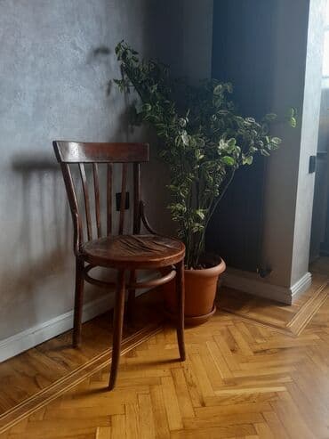 stul qedimi: Qedimi Venskiy stullar 1 eded .
Unvan Ehmedli .
Стуля 
Антик — 1