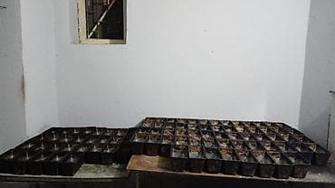 soba silver: Çörək, 3 mərtəbəli — 4