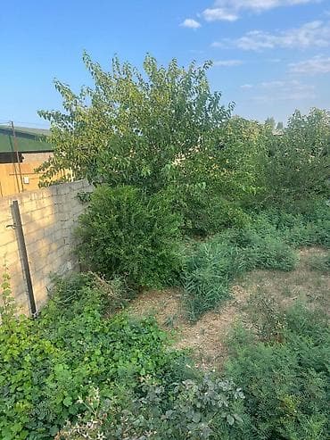 aylig kiraye evler: 7 sot, Tikinti, Mülkiyyətçi, Kupça (Çıxarış) — 5