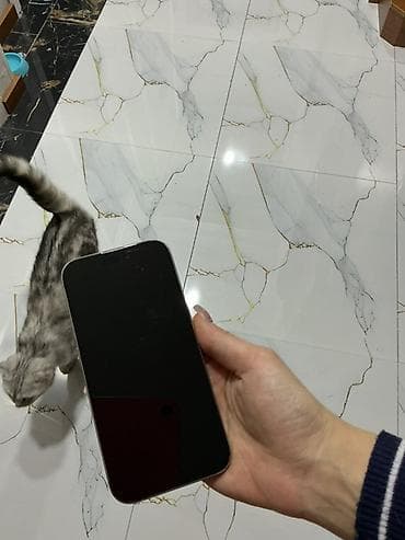 apple 8 pulus: IPhone 14 Pro, Gümüşü, Qırıq — 1