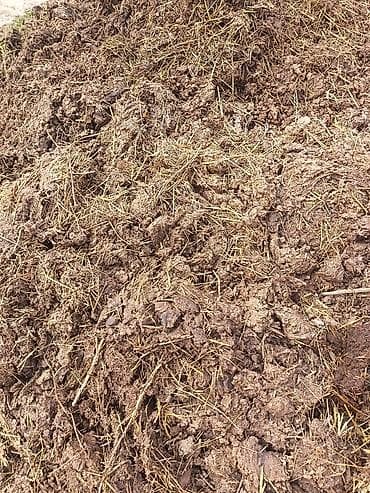 Təbii üzvi gübrə – mal peyini Məhsul təsviri: - Heyvandarlıq — 1