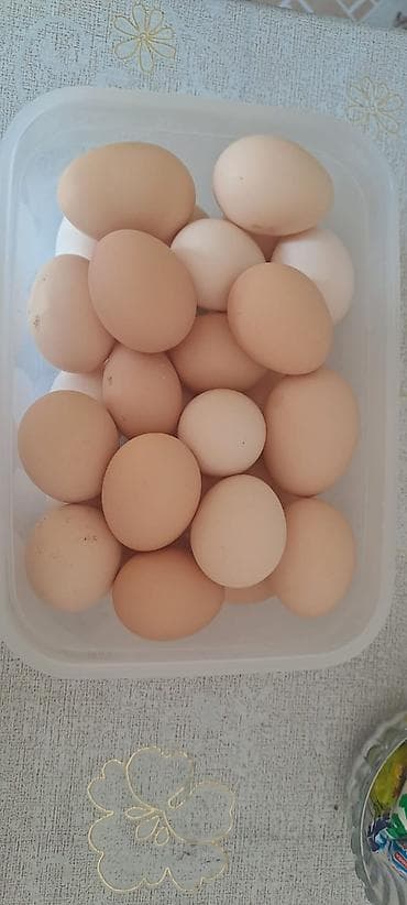 elektron sat: Salam, əziz müştərilər! 30 qp. ​Ev şəraitində, tam təbii yemlə — 1