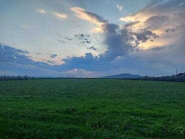 lalafo.az quba: Kənd təsərrüfatı — 4