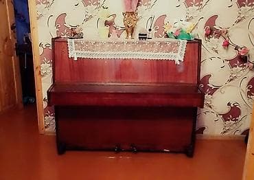 Piano, Rostov-Don, Akustik