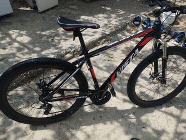 Информатика: Горный велосипед Vista, 29" — 2