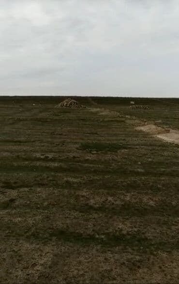 Brilliance: 6 sot, Kənd təsərrüfatı, Mülkiyyətçi, Kupça (Çıxarış) — 1