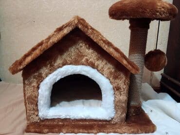 pişik yuva: Yuvalar — 1