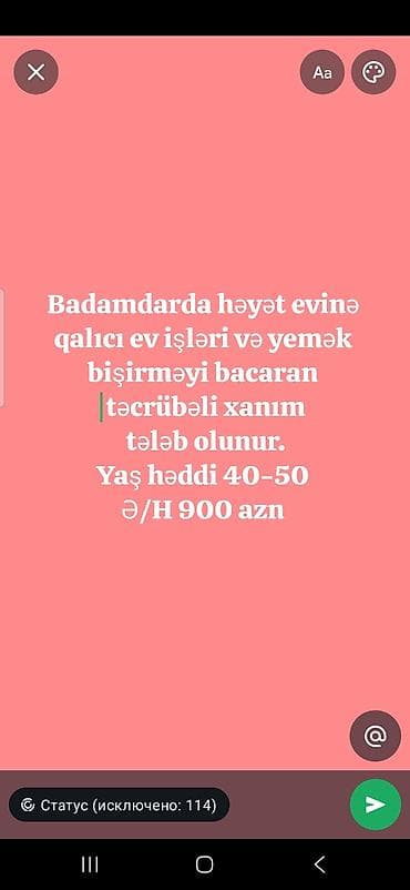 İş: Badamdarda həyət evinə daimi əsasda ev işləri və yemək bişirməyi — 1