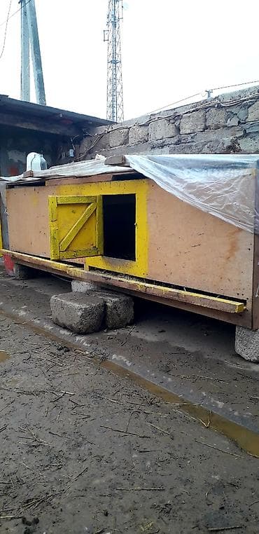 it maneji: Uzunu 3 metr hündürlük 1 metr eni 90 sm siyrme alddq içi xırda göz — 1