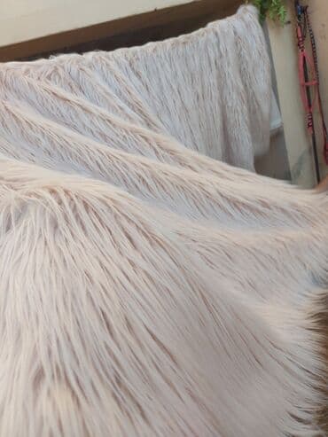 Yeni Pled lalafo.az -da Yeni Pled