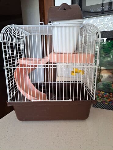 Riyaziyyat: 6 man — 1