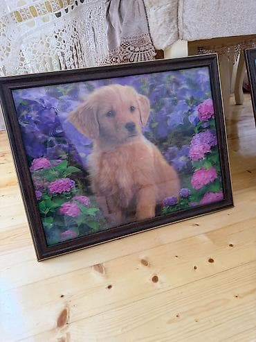 golden retriever: Çərçivəli tablo – balaca it balasının çiçəklər arasında təsviri. - — 1
