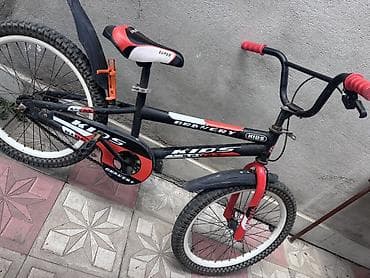 İşlənmiş İki təkərli Uşaq velosipedi 20"