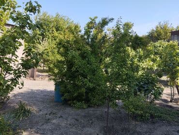 kiraye yer: 150 kv. m, 3 otaqlı, Kombi, Qaz, İşıq — 6