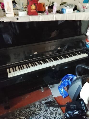 Akkordeonlar: Piano, Akustik — 2