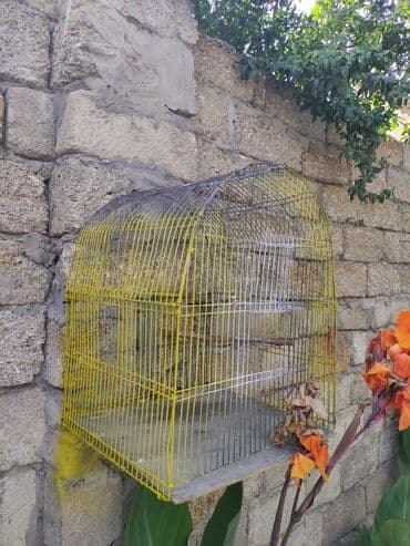 Şampunlar: Qefesler yumru qirmizi 30 Azn obirler 20-15 Azn — 6