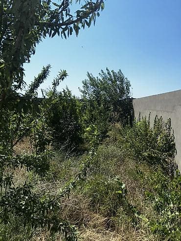 bag evi: Nardaran qəs. 4 otaqlı, 180 kv. m, Kredit yoxdur, Orta təmir — 4
