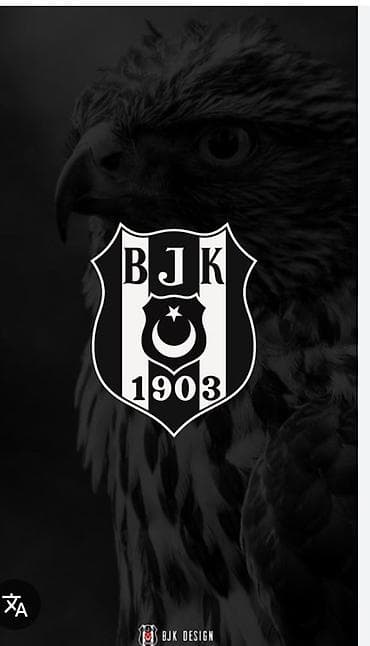 resm eserleri sekiller: Salam Bərdədən it sahiplənmək istəyirəm it sahipləndirən olsa yazın — 1