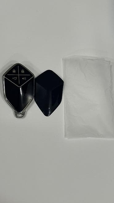 acar aləmi: Changan Deepal Açar Qabı — 1