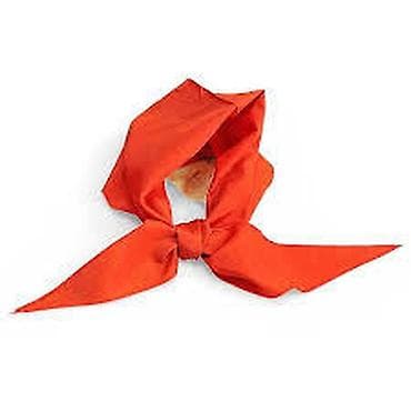 kohnə pullar alıram: Пионерский галстук СССР .Новый.Этикетка — 2