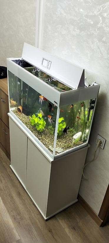 Аквариум-шкаф, Вместе с рыбами, 125 л, Самовывоз — 3