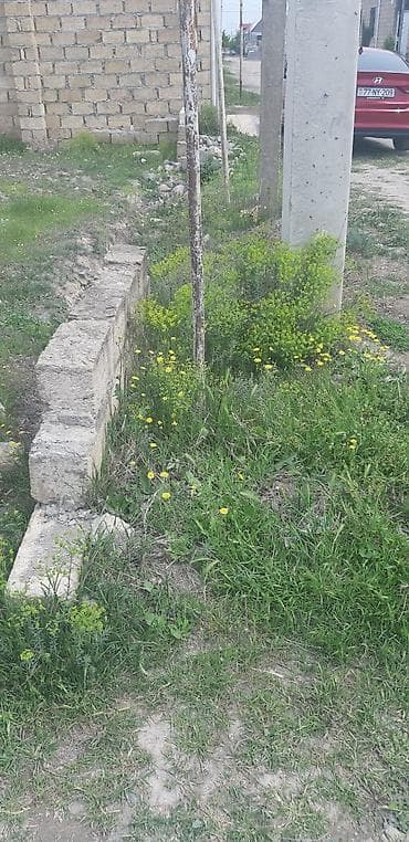 kiraye gence: Tikinti — 2