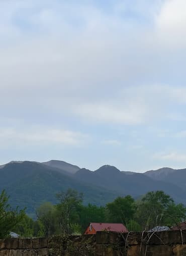 12 sot, Biznes üçün, Mülkiyyətçi, Kupça (Çıxarış), Bələdiyyə