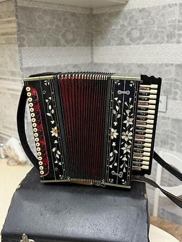 Musiqi alətləri: Akustik Akkordeon, Yeni, Pulsuz çatdırılma — 3