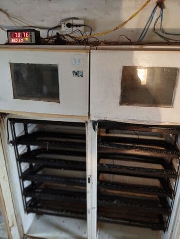 купить измельчитель сена бу: 1100 яиц, Азербайджан, Полностью автоматическая — 2